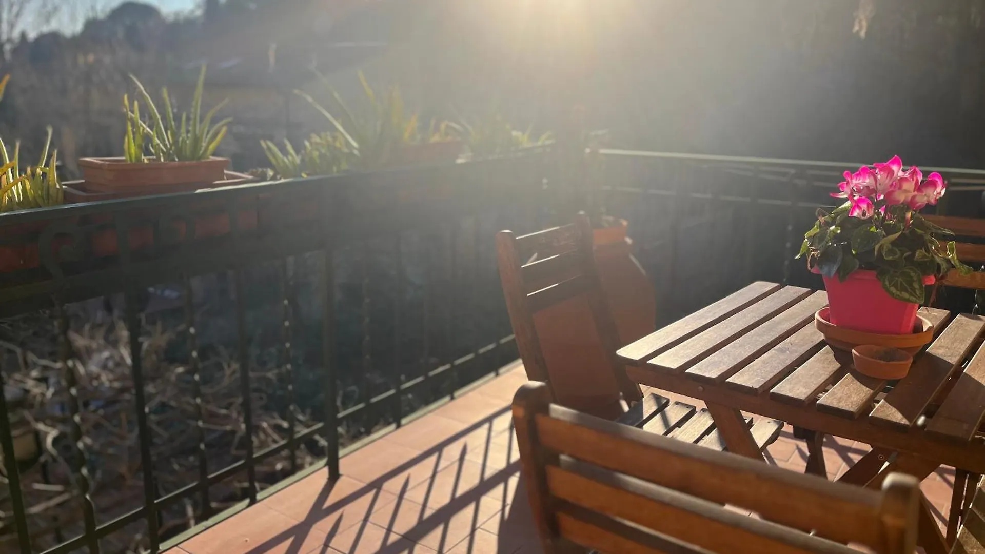 Albero Mago Hotel Florence Guest house