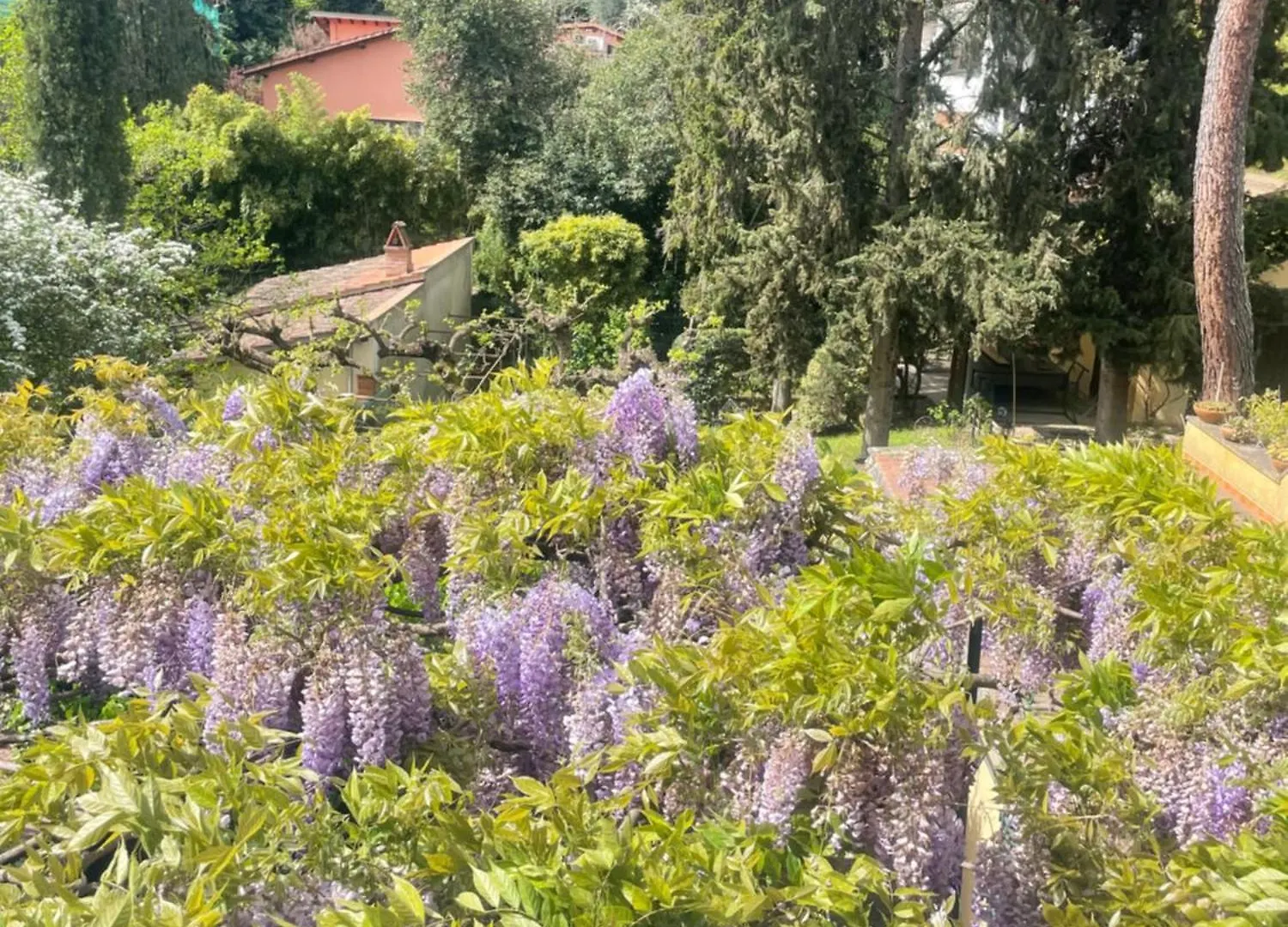 Maison d'hôtes Hotel Albero Mago à Florence Italie